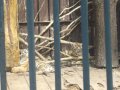 IMGP0844.JPG